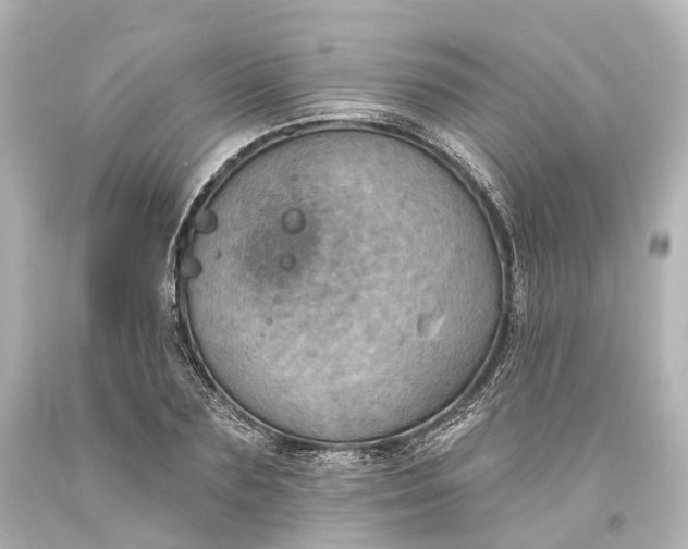 X0000094070883200711021507