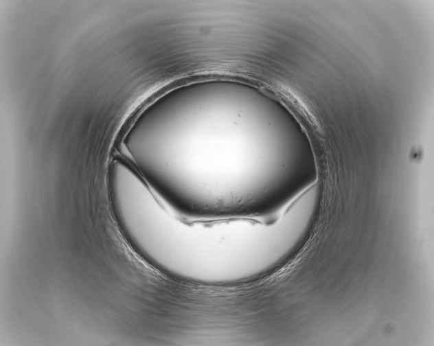 X0000094070884200711021507