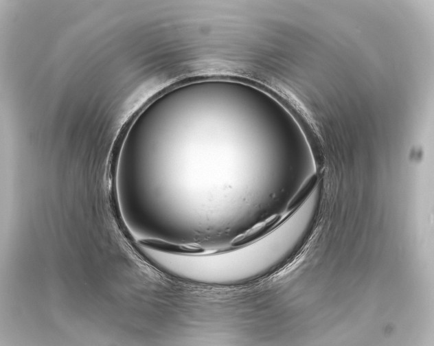 X0000094070885200711021507