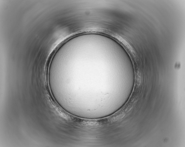 X0000094070886200711021507