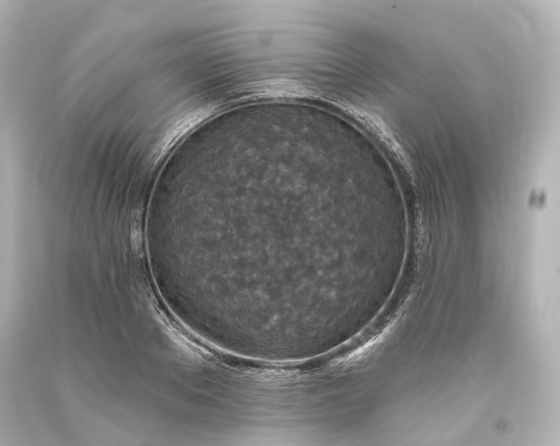 X0000094070889200711021507