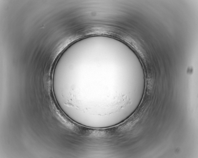 X0000094070890200711021507