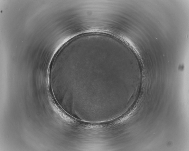 X0000094070892200711021507