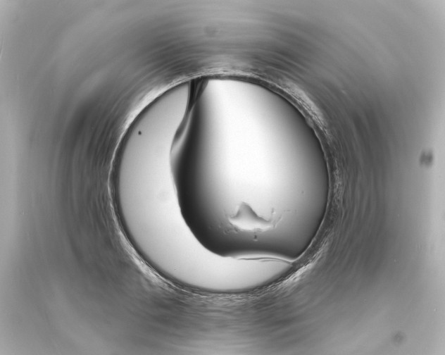 X0000094070893200711021507