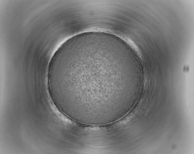 X0000094070896200711021507