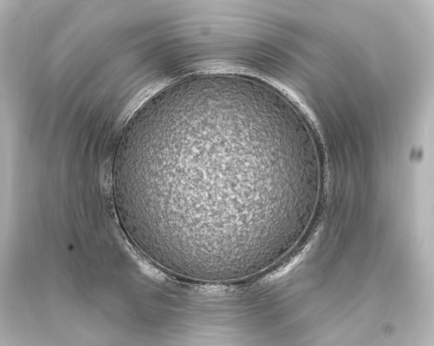 X0000094070897200711021507