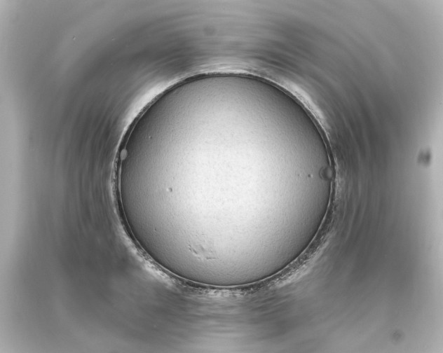 X0000094070901200711021507
