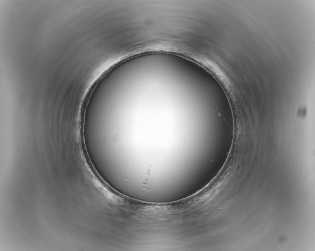 X0000094070902200711021507