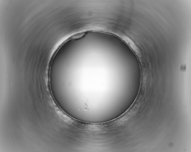 X0000094070904200711021507