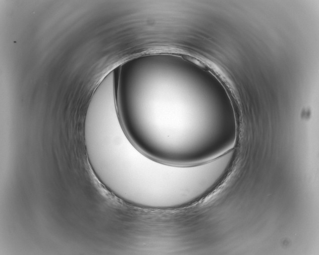 X0000094070905200711021507