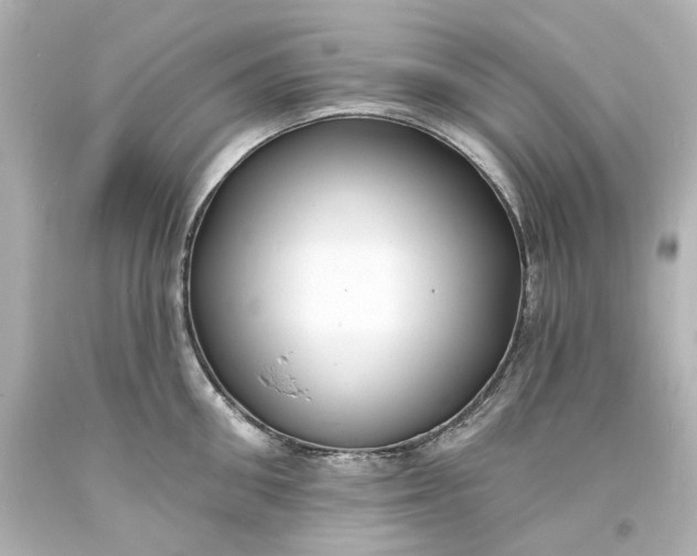 X0000094070906200711021507