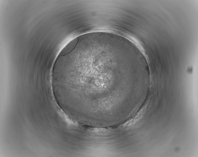 X0000094070907200711021507