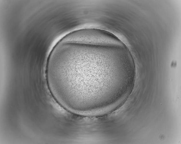X0000094070912200711021507