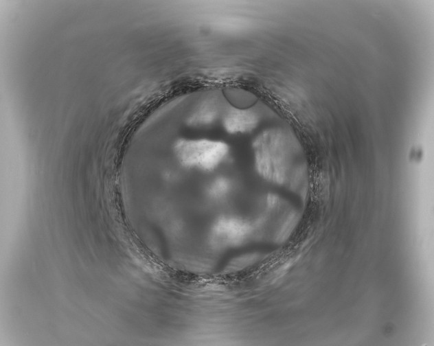 X0000094070913200711021506