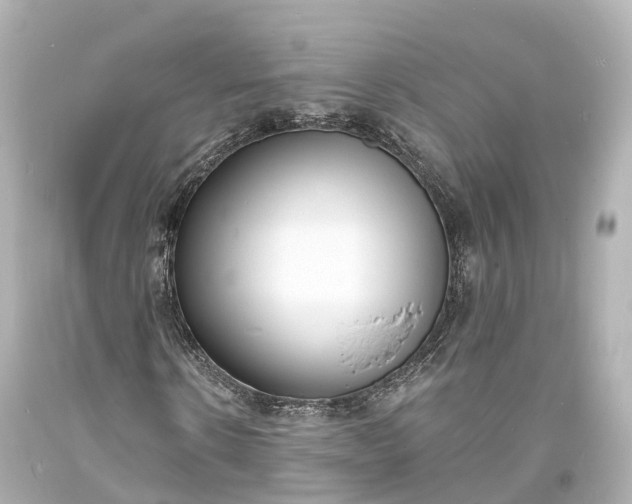 X0000094070914200711021506