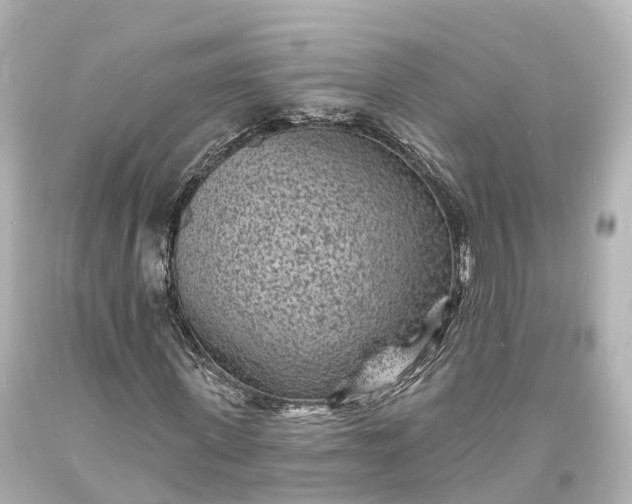 X0000094070915200711021506