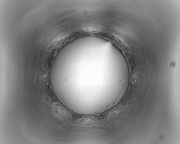 X0000094070917200711021506