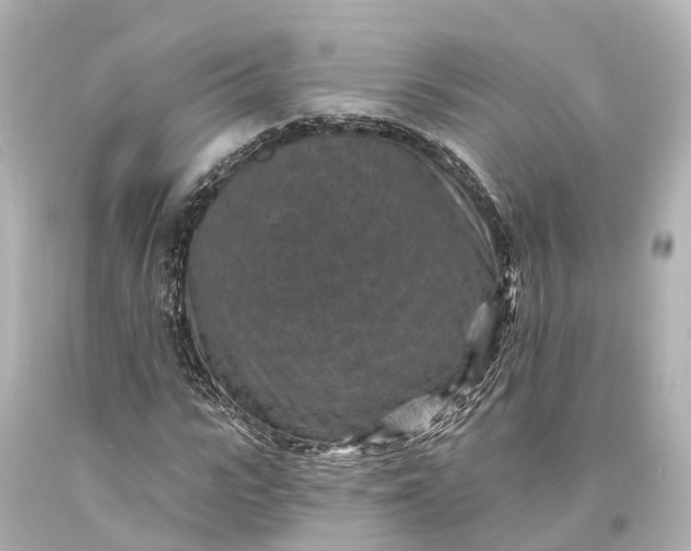 X0000094070919200711021506