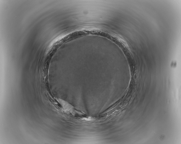 X0000094070920200711021506