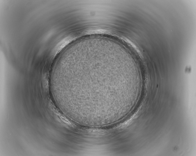 X0000094070921200711021506