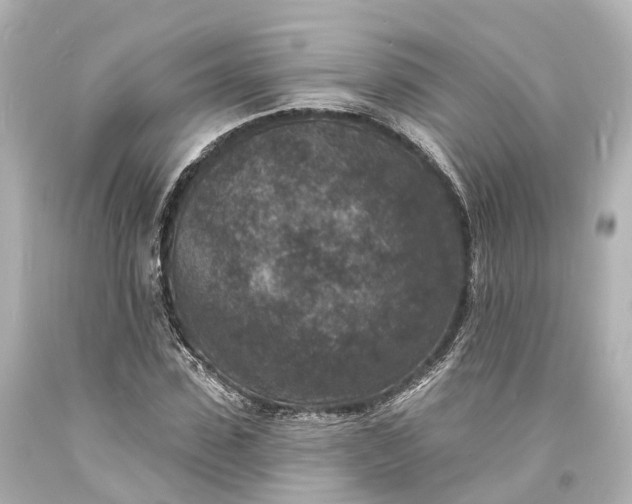 X0000094070923200711021506