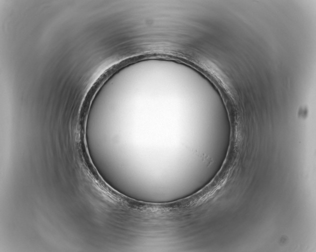 X0000094070924200711021506