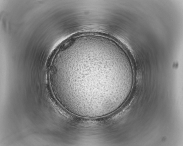 X0000094070925200711021506