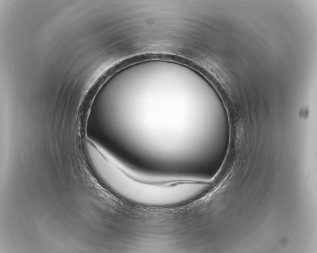 X0000094070926200711021506