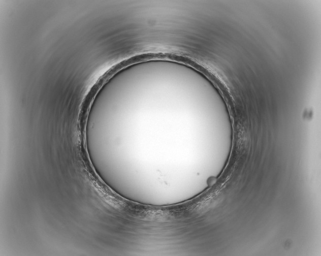 X0000094070927200711021506