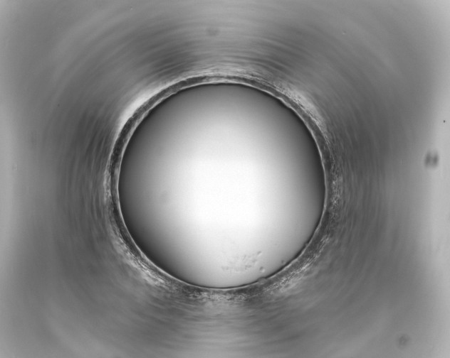 X0000094070928200711021506