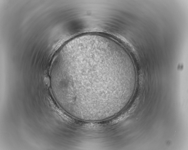 X0000094070929200711021506