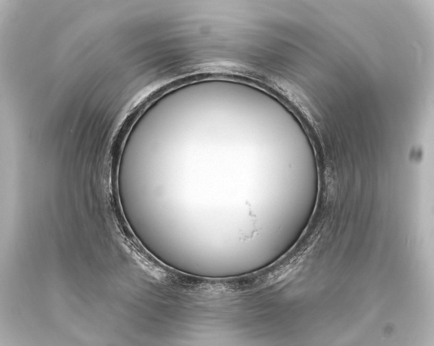 X0000094070931200711021506