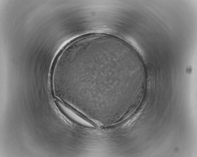 X0000094070932200711021506