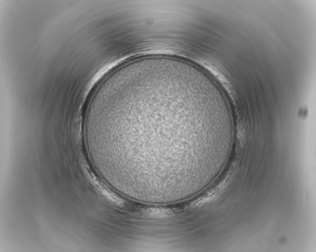 X0000094070933200711021506