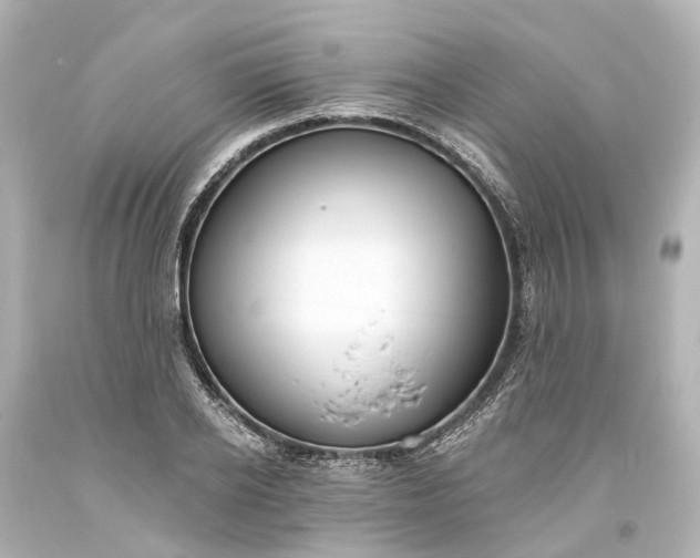 X0000094070934200711021506