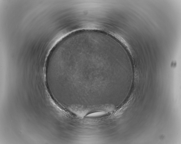 X0000094070935200711021506