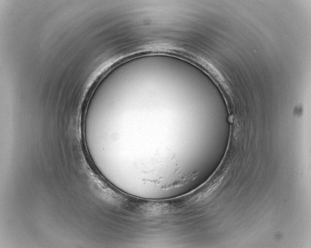 X0000094070939200711021506