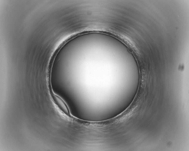 X0000094070942200711021506