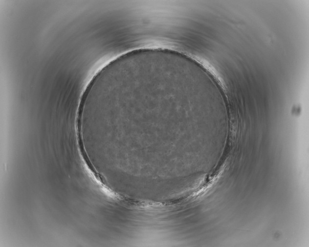 X0000094070943200711021506