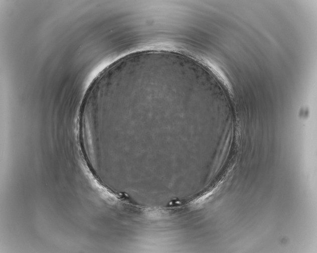 X0000094070944200711021506