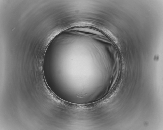 X0000094070945200711021506