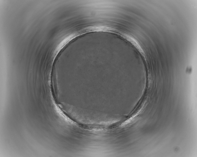 X0000094070946200711021506