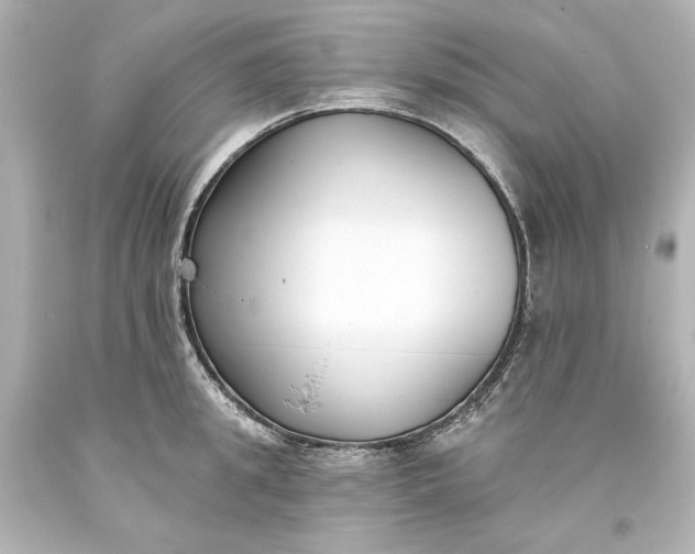 X0000094070949200711021506