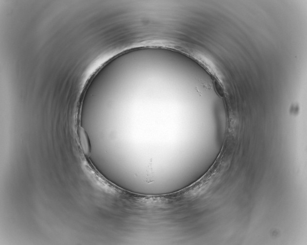 X0000094070952200711021506
