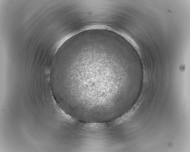X0000094070953200711021506
