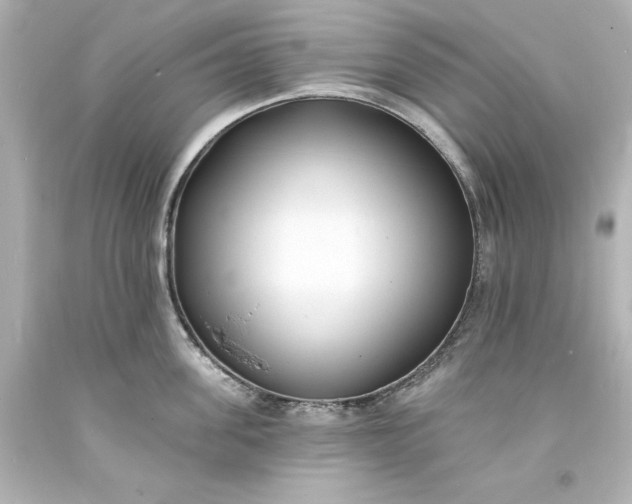 X0000094070955200711021506