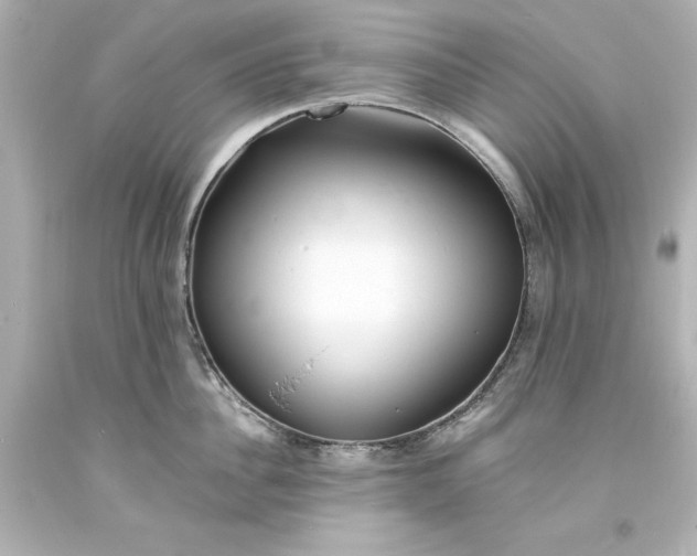 X0000094070956200711021506
