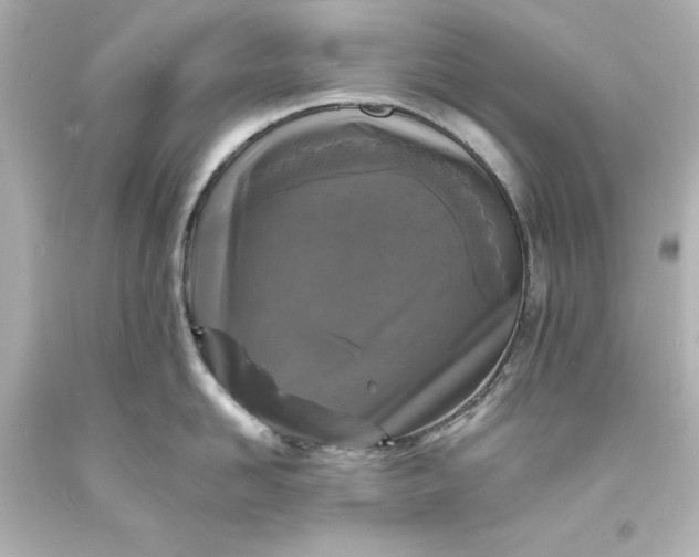 X0000094070958200711021506