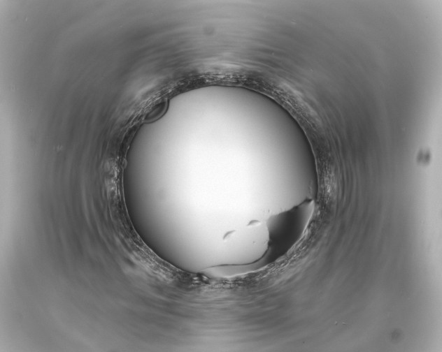 X0000094070964200711021506