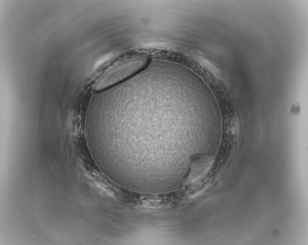 X0000094070965200711021506